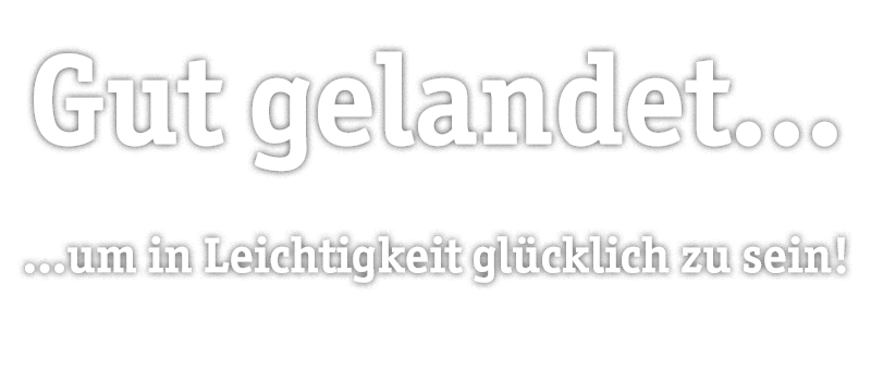 Gut gelandet